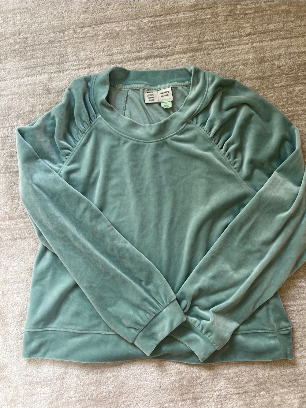 Anthropologie Dusty Seafoam Velour Pullover Sweatshirt